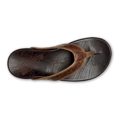 Hikianalia - Tan / Dark Java - Image 9