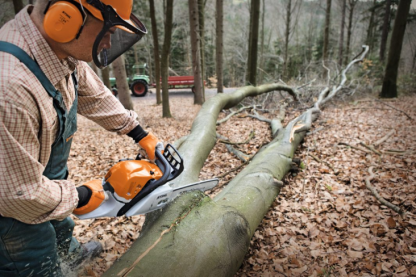 STIHL GASOLINE CHAINSAW MS 391 - Image 2